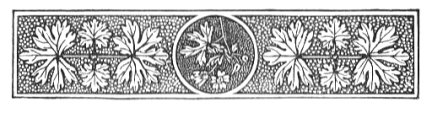 Decorative chapter header