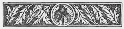 Decorative Chapter header