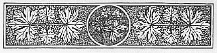 Decorative chapter header