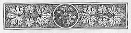 Decorative chapter header