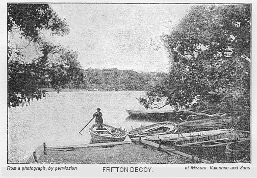 Fritton Decoy