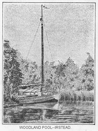 Woodland Pool—Irstead