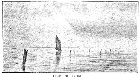 Hickling Broad