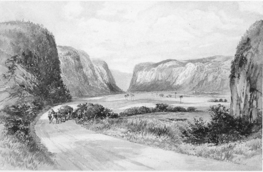 THE VINALES VALLEY A scene in the heart of the wonderland of Pinar del Rio, which innumerable tourists have declared second to no other spot in the world in romantic beauty and fascinating charm. The combination of cliffs and plain, with the rich coloring of tropical flora, is so bewildering as to create the illusion of a stage-setting made for scenic effect by some master artist.