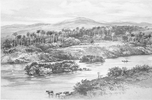 ON THE CAUTO RIVER The Cauto River, traversing Oriente Province, is the largest stream in Cuba, and is of inestimable value for navigation, for water supply, and for drainage. It is the salient feature of many fine landscape scenes, ranging from the idyllic to the majestic.