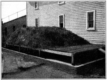 Fig. 9.--A maggot trap for house-fly control. View showing the concrete basin containing water in which larvæ are drowned, and the wooden platform on which manure is heaped. (Hutchison.) Fig. 9.--A maggot trap for house-fly control. View showing the concrete basin containing water in which larvæ are drowned, and the wooden platform on which manure is heaped. (Hutchison.)