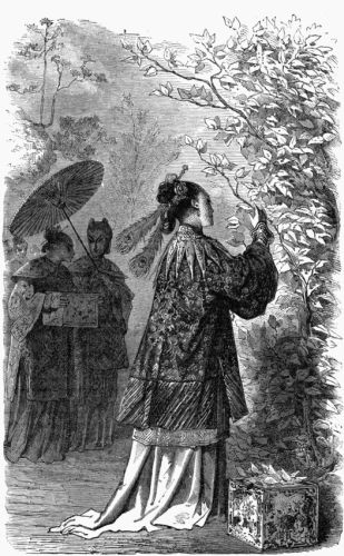 V.—The Empress Si-ling-chi gathering Mulberry Leaves. V.—The Empress Si-ling-chi gathering Mulberry Leaves.
