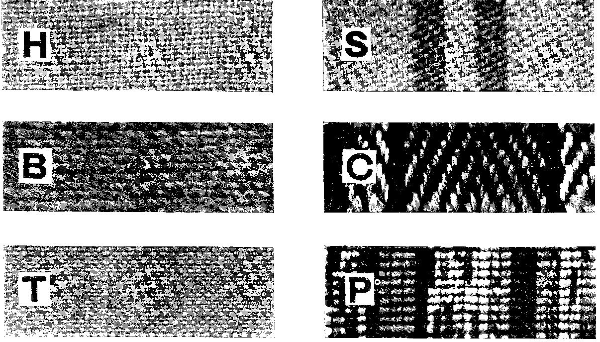 FIG. 32 SIX DISTINCT KINDS OF TYPICAL JUTE FABRICS