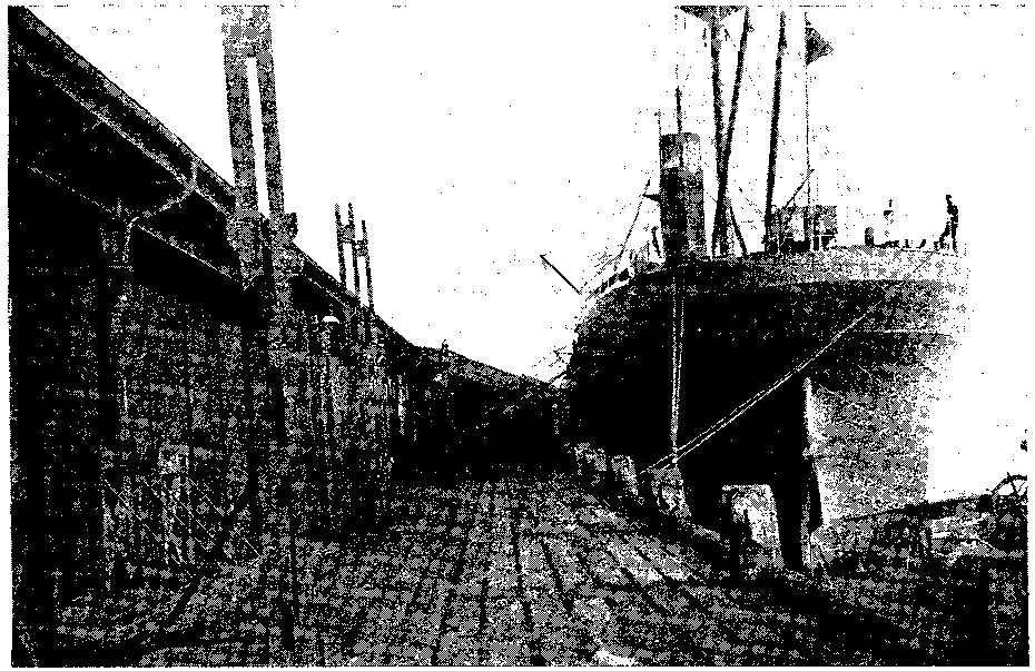 FIG. 6 VESSEL LADEN WITH JUTE AT QUAY-SIDE ADJOINING JUTE SHEDS IN DUNDEE HARBOUR