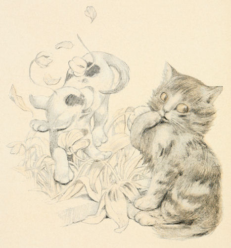 A kitten looks worried, as a puppy destroys a flower bed while it's trying to catch its own tail