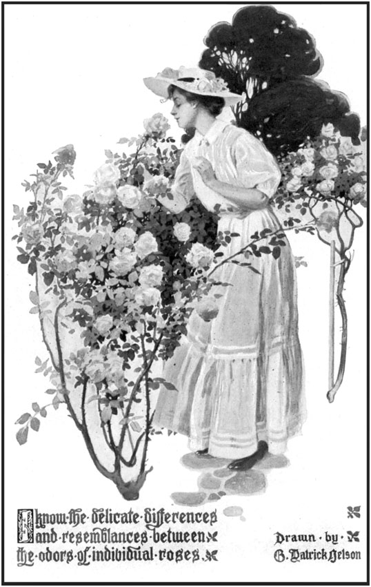 image facing page 14