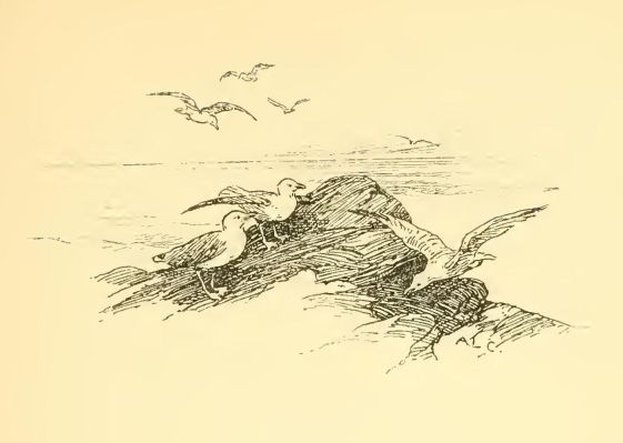 0035m