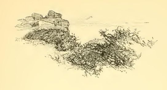 0321m