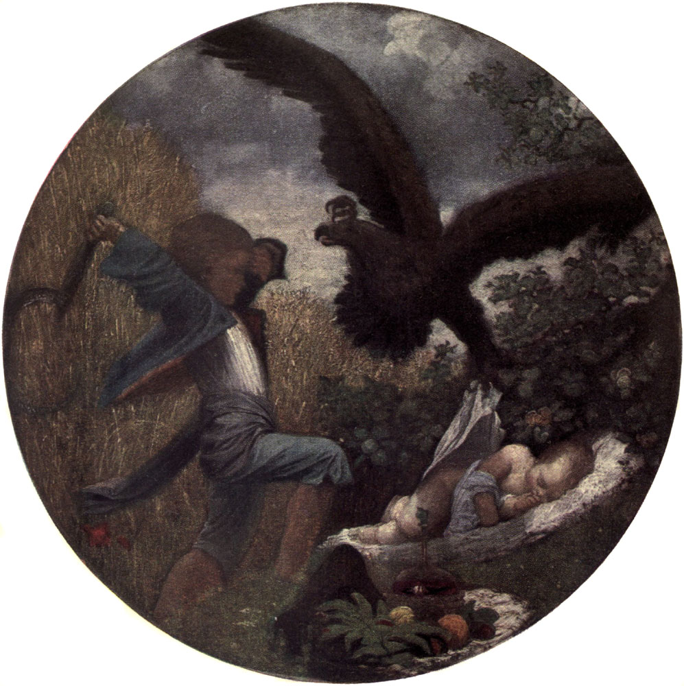 Boy rescuing sleeping baby from Eagle