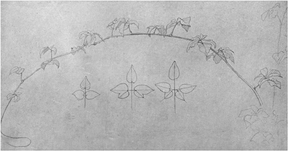 Study of Bramble