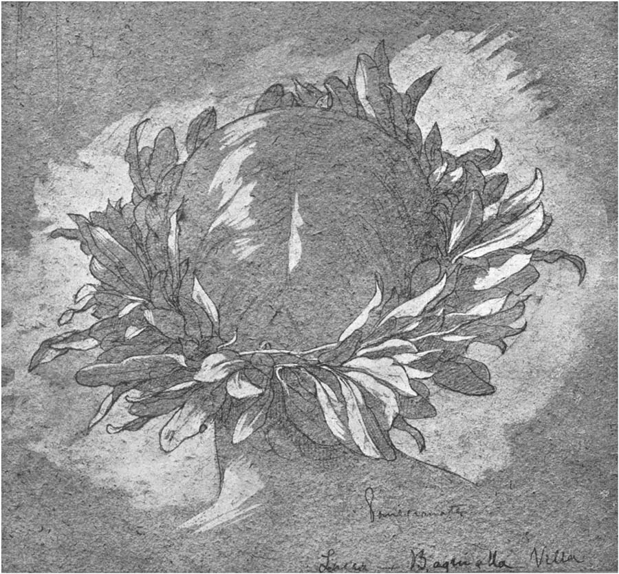 WREATH OF BAY LEAVES.