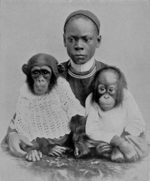 NEGRO BOY AND APES.