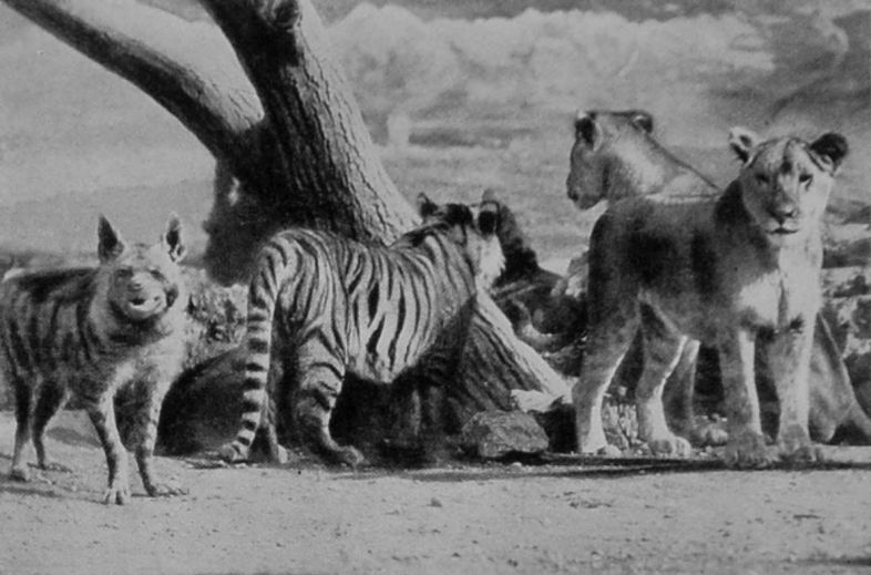 A HAPPY FAMILY.
