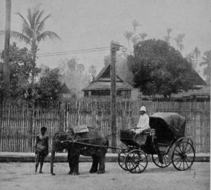THE CHIEF OF CHIENGMAI'S CARRIAGE.