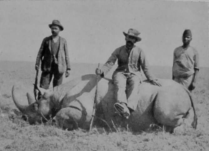 ONE OF THE SAME RHINOCEROSES DEAD.