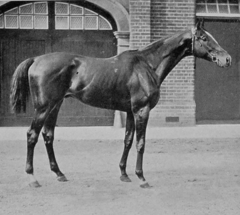 FLORIZEL II.