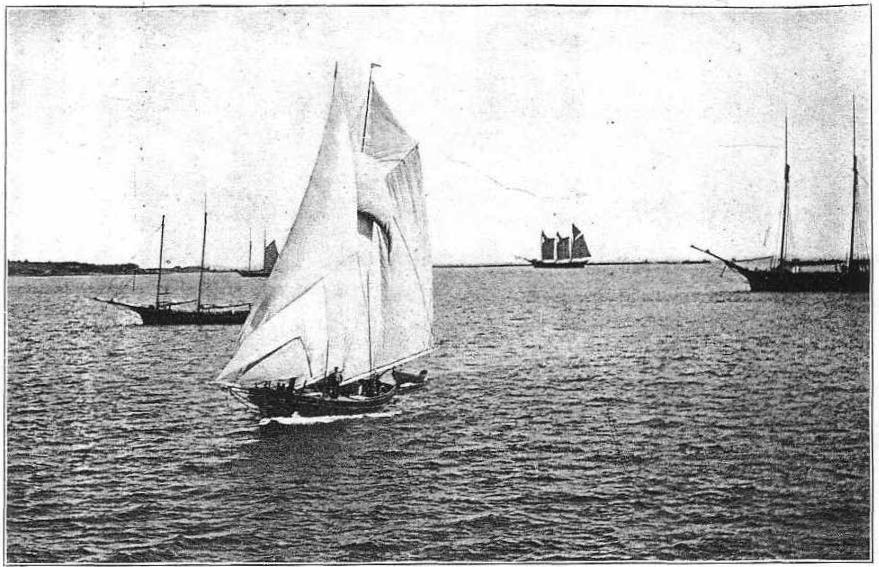 The sailing smack Bar Bel of Rockland