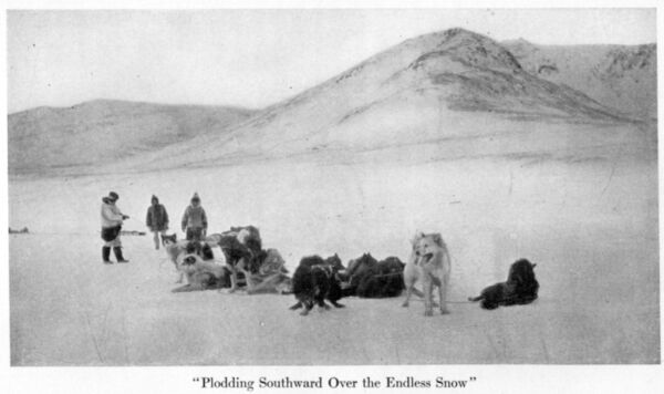 Plodding Southward Over Endless Snow