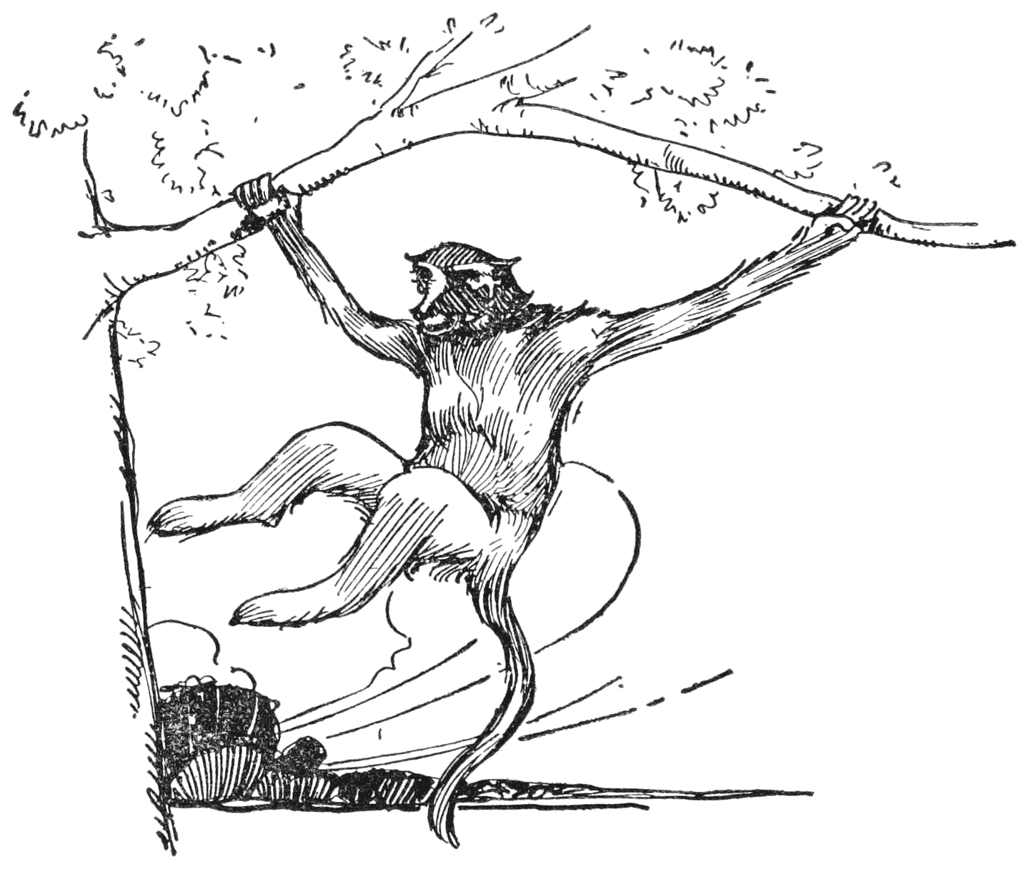 Swing himself from one branch to another