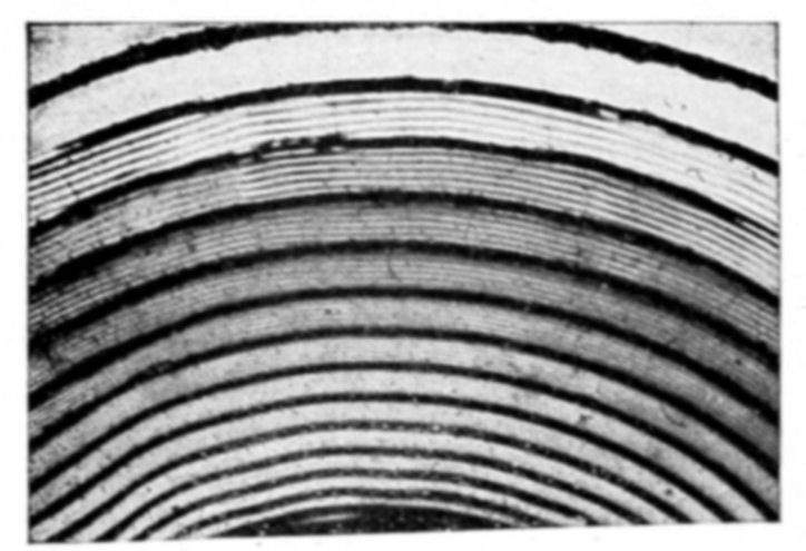 Fig. 12.