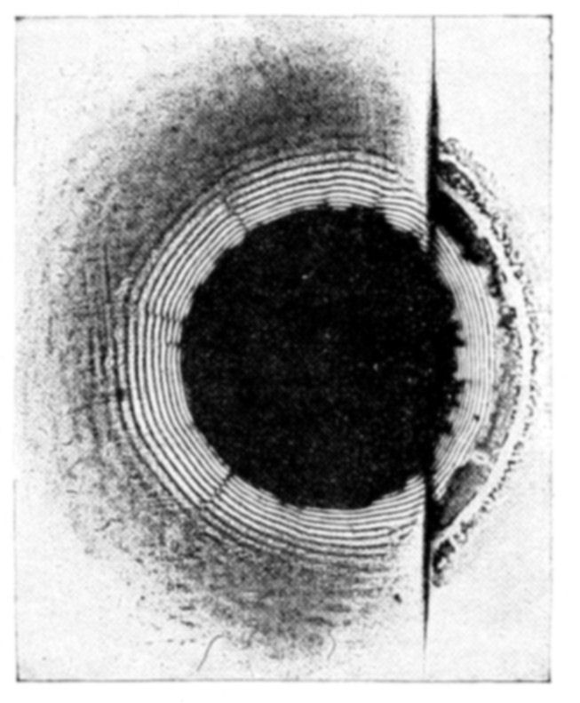 Fig. 13.