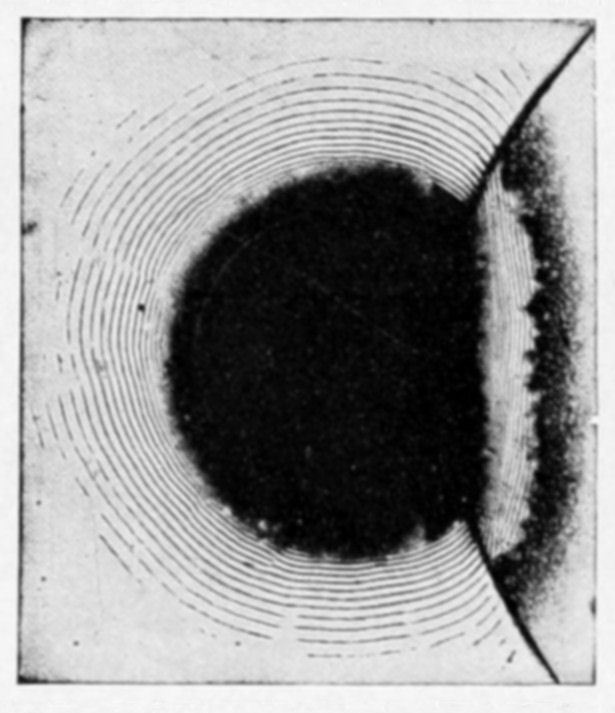 Fig. 14.