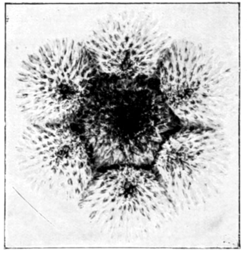 Fig. 21.