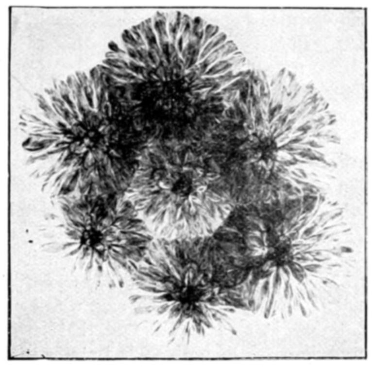 Fig. 22.
