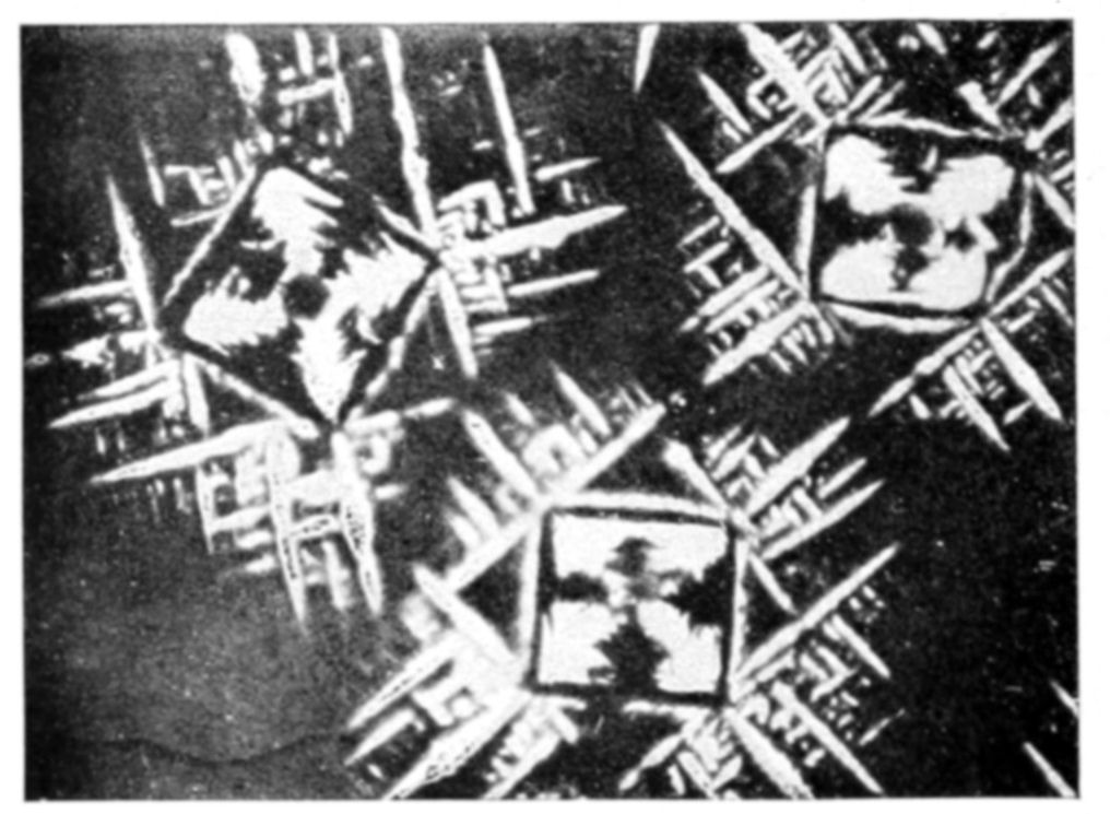 Fig. 28.