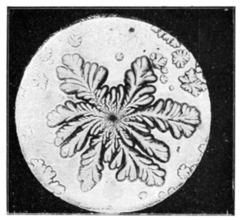 Fig. 29.