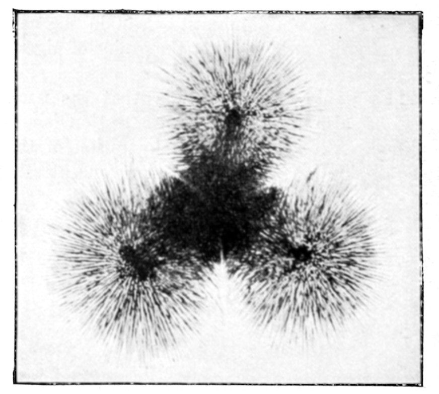 Fig. 34.