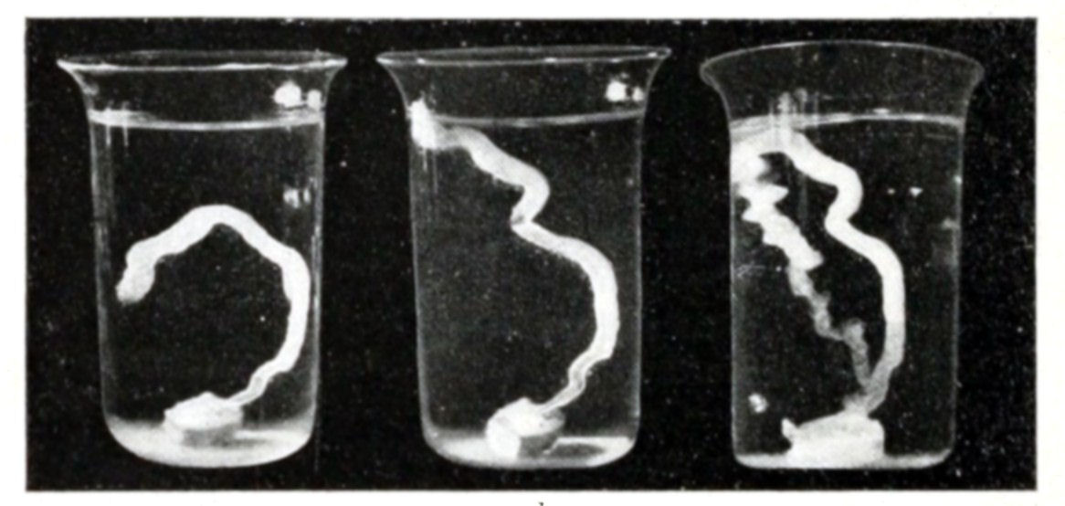 Fig. 37.