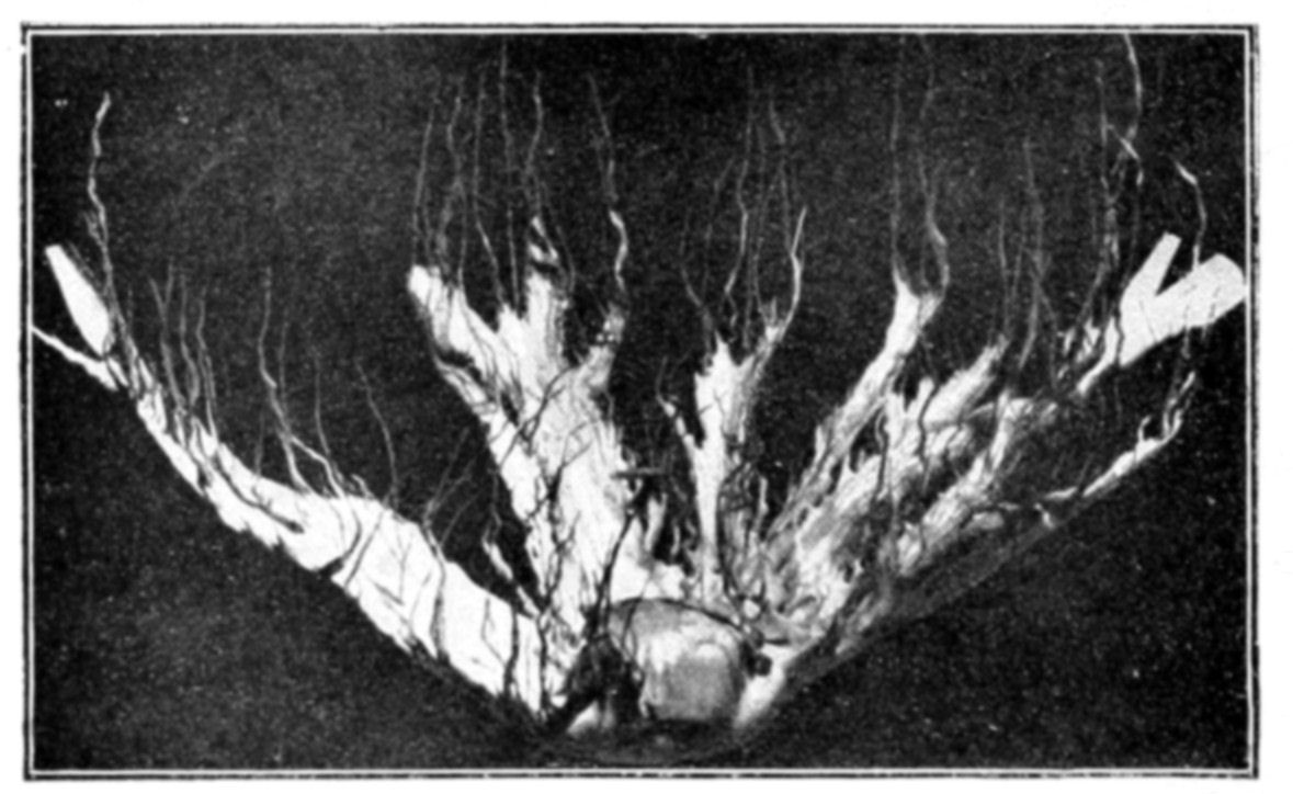 Fig. 42.