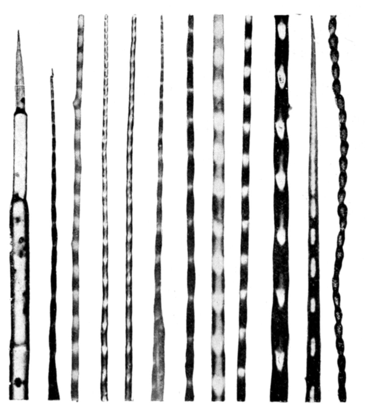 Fig. 56.