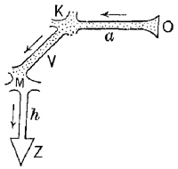 fig_1 fig_1