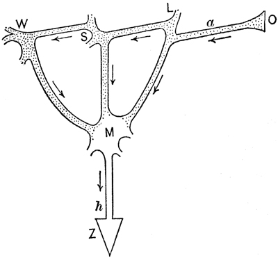 fig_2 fig_2