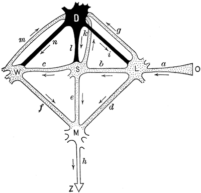 fig_3 fig_3