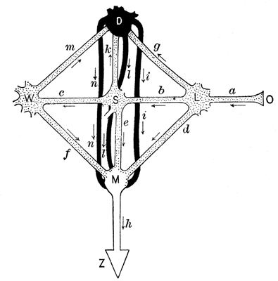 fig_4 fig_4