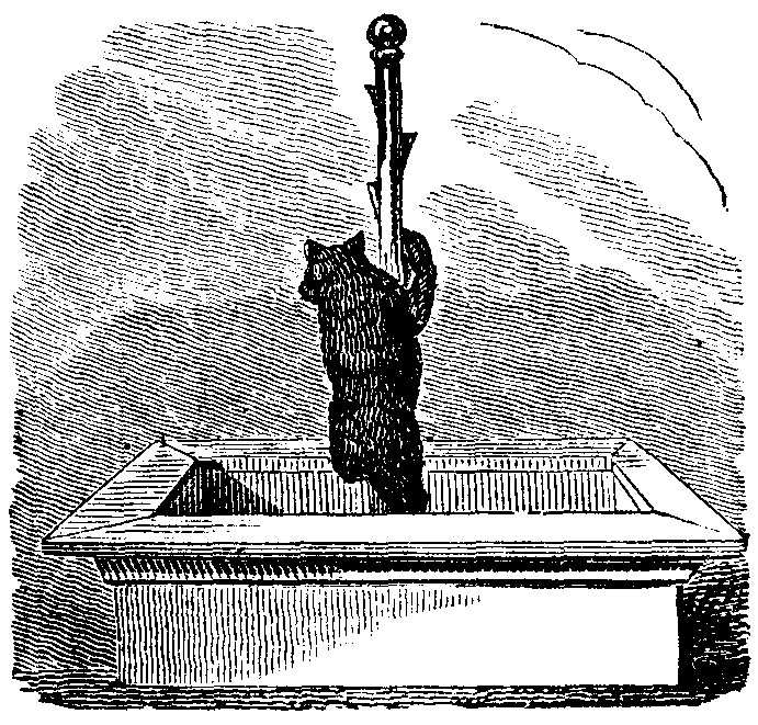 Building for Bears