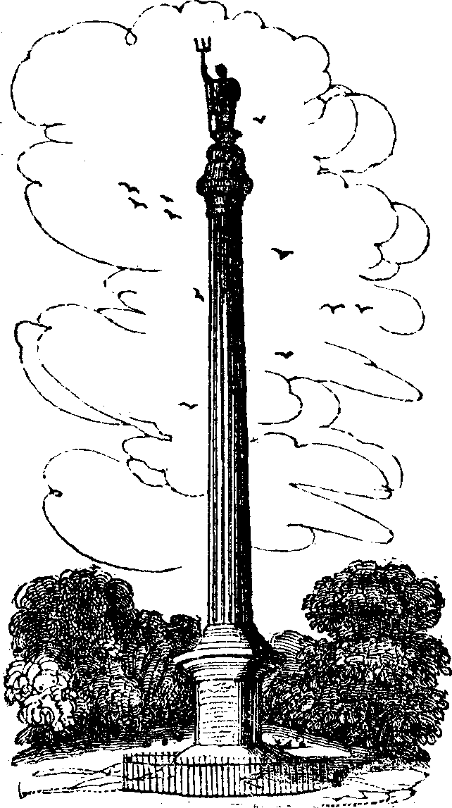 Column in Blenheim Park.
