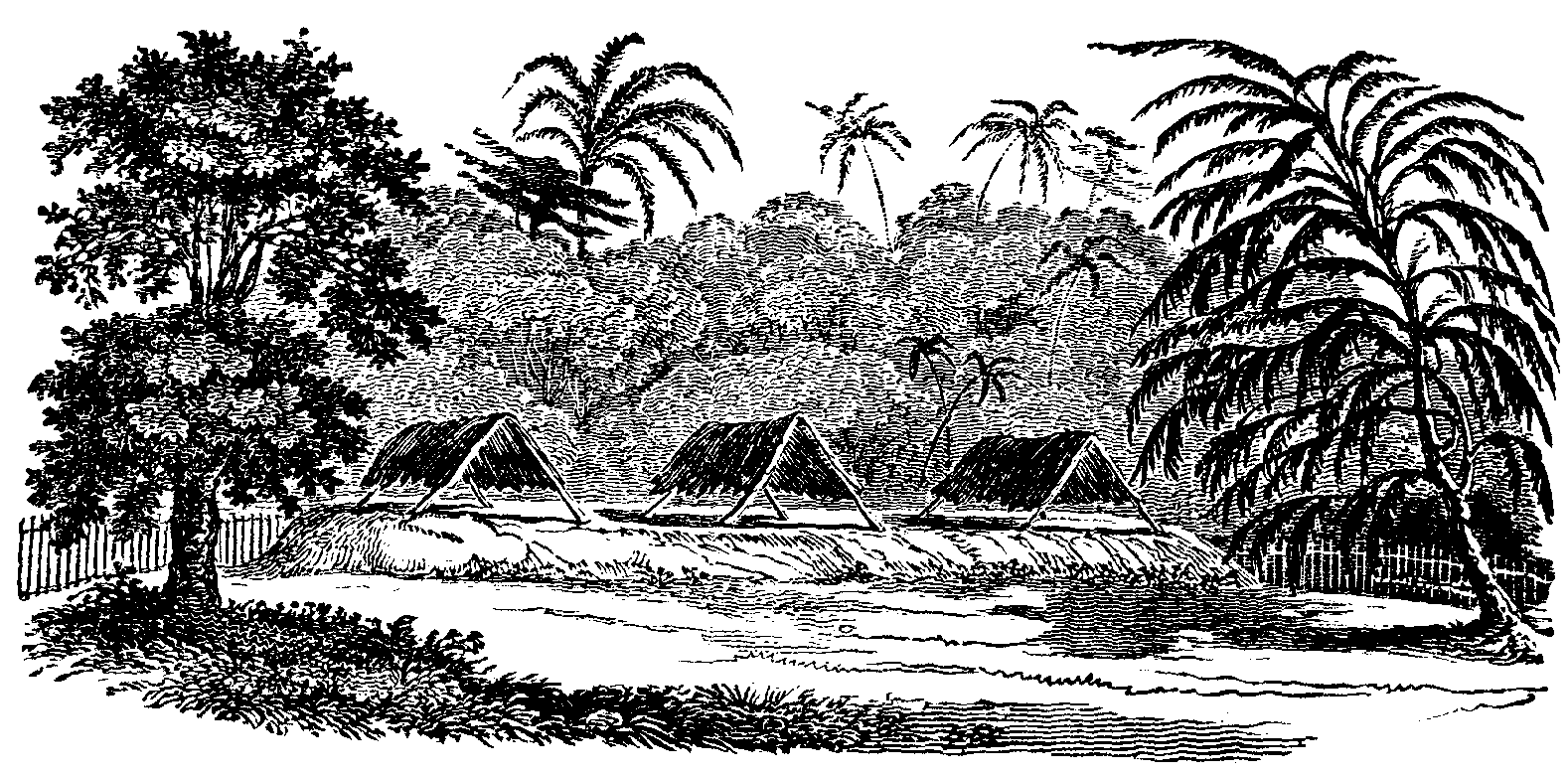 BURIAL PLACE IN TONGATABU.