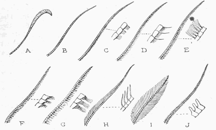 Fig. 2. Fig. 2.