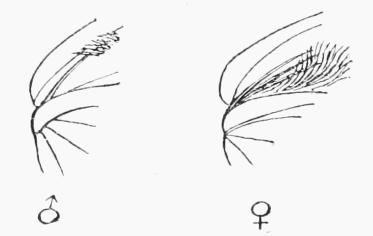 Fig. 3. Fig. 3.