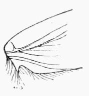 Fig. 4. Fig. 4.