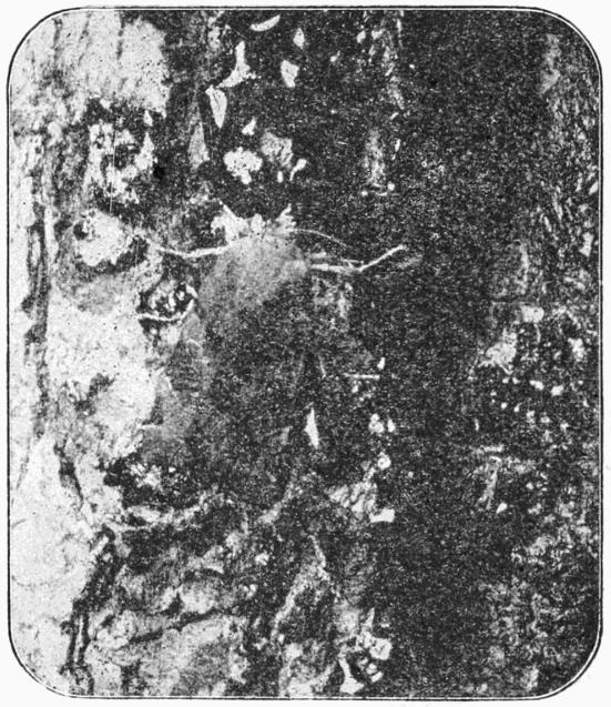 Fig. 9. Fig. 9.